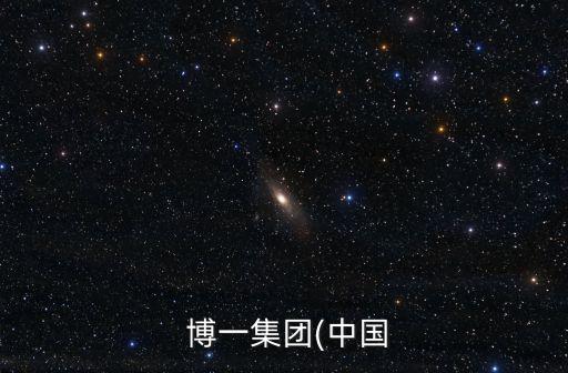  博一集團(tuán)(中國(guó)