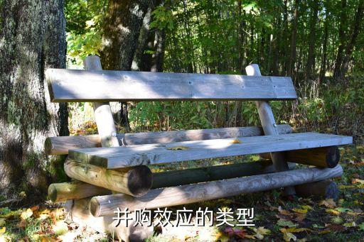  并購(gòu)效應(yīng)的類(lèi)型