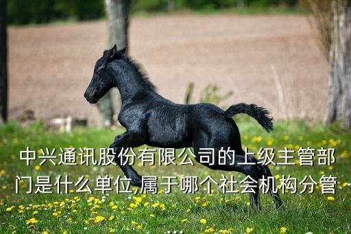  中興通訊股份有限公司的上級主管部門是什么單位,屬于哪個社會機構(gòu)分管...