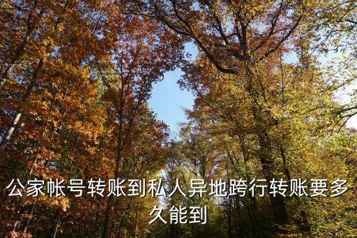公家?guī)ぬ栟D(zhuǎn)賬到私人異地跨行轉(zhuǎn)賬要多久能到