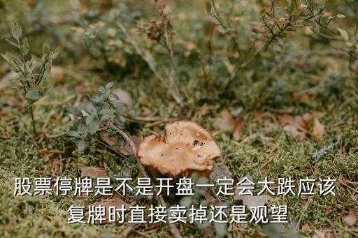 股票停牌是不是開(kāi)盤(pán)一定會(huì)大跌應(yīng)該 復(fù)牌時(shí)直接賣掉還是觀望