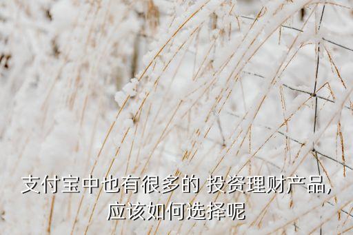支付寶中也有很多的 投資理財產(chǎn)品,應該如何選擇呢