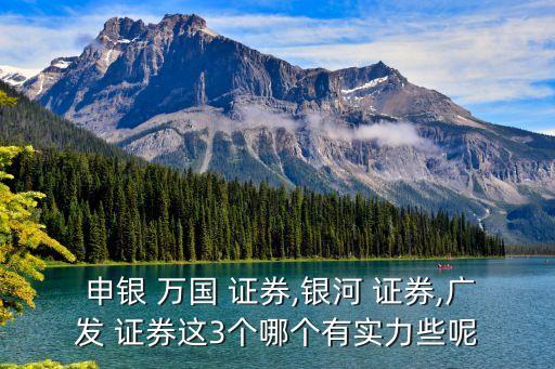 申銀萬國證券公司簡(jiǎn)介,上海申銀萬國證券公司電話