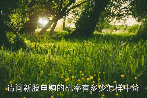 請(qǐng)問新股申購(gòu)的機(jī)率有多少怎樣中簽