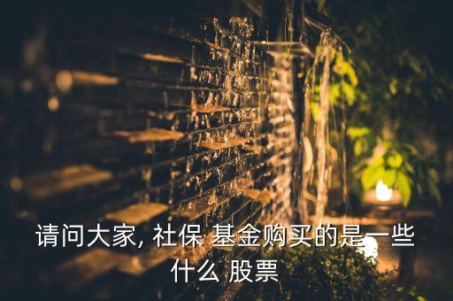 社保107基金持有的股票,2022年社?；鹬貍}股票
