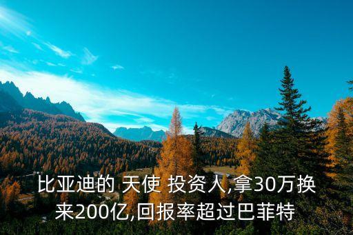 比亞迪的 天使 投資人,拿30萬(wàn)換來(lái)200億,回報(bào)率超過(guò)巴菲特