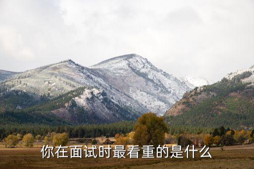 簡(jiǎn)要介紹本公司的業(yè)績和在同行中的聲譽(yù)