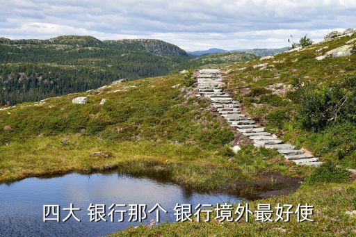 四大 銀行那個(gè) 銀行境外最好使