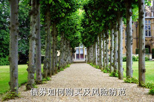  債券如何購(gòu)買(mǎi)及風(fēng)險(xiǎn)防范