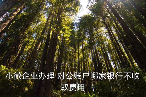 小微企業(yè)辦理 對公賬戶哪家銀行不收取費(fèi)用