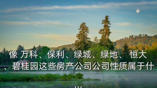 像 萬(wàn)科、保利、綠城、綠地、 恒大、碧桂園這些房產(chǎn)公司公司性質(zhì)屬于什...