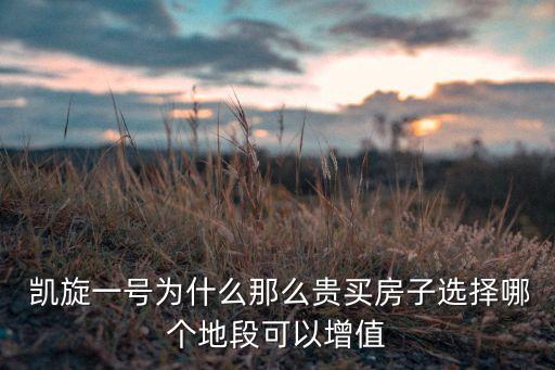  凱旋一號(hào)為什么那么貴買房子選擇哪個(gè)地段可以增值