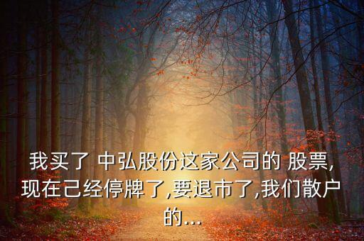我買(mǎi)了 中弘股份這家公司的 股票,現(xiàn)在己經(jīng)停牌了,要退市了,我們散戶(hù)的...
