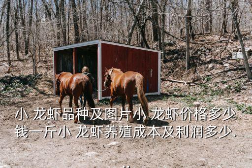 小 龍蝦品種及圖片小 龍蝦價(jià)格多少錢一斤小 龍蝦養(yǎng)殖成本及利潤(rùn)多少...