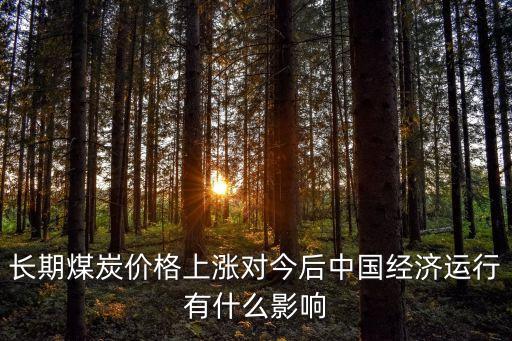 長期煤炭價(jià)格上漲對(duì)今后中國經(jīng)濟(jì)運(yùn)行有什么影響