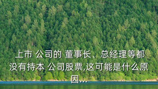  上市 公司的 董事長、總經(jīng)理等都沒有持本 公司股票,這可能是什么原因...