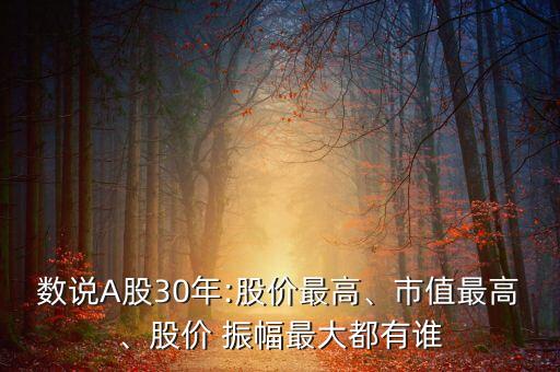 數(shù)說(shuō)A股30年:股價(jià)最高、市值最高、股價(jià) 振幅最大都有誰(shuí)