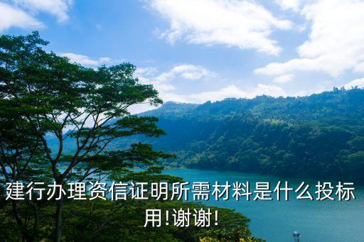 中國建設銀行杭州外資開設增資戶需要材料