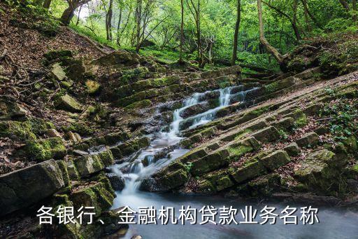 各銀行、金融機構(gòu)貸款業(yè)務名稱