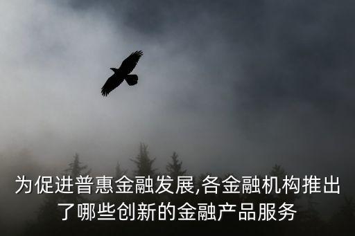 為促進普惠金融發(fā)展,各金融機構(gòu)推出了哪些創(chuàng)新的金融產(chǎn)品服務