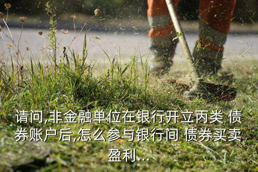 請(qǐng)問(wèn),非金融單位在銀行開(kāi)立丙類 債券賬戶后,怎么參與銀行間 債券買(mǎi)賣(mài)盈利...