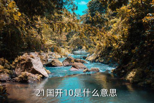 21國(guó)開10是什么意思