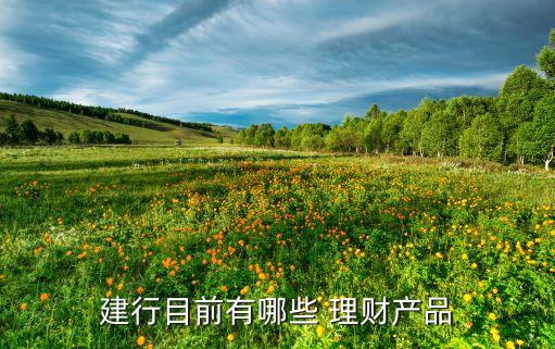 建設銀行理財產(chǎn)品列表2015年