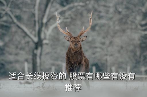 適合長(zhǎng)線投資的 股票有哪些有沒有 推薦