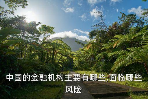 中國的金融機(jī)構(gòu)主要有哪些,面臨哪些風(fēng)險(xiǎn)