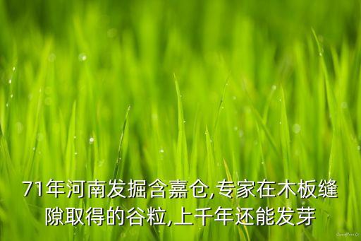 上置集團施建被查處