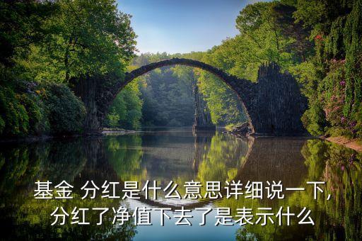  基金 分紅是什么意思詳細(xì)說(shuō)一下, 分紅了凈值下去了是表示什么