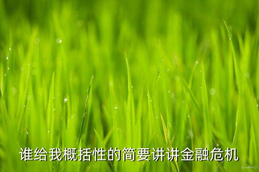 誰(shuí)給我概括性的簡(jiǎn)要講講金融危機(jī)