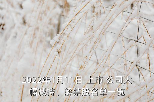 2022年1月11日 上市 公司大幅減持、解禁股名單一覽