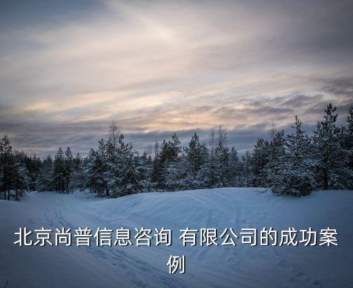 北京尚普信息咨詢(xún) 有限公司的成功案例