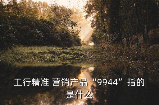 工行精準 營銷產(chǎn)品“9944”指的是什么
