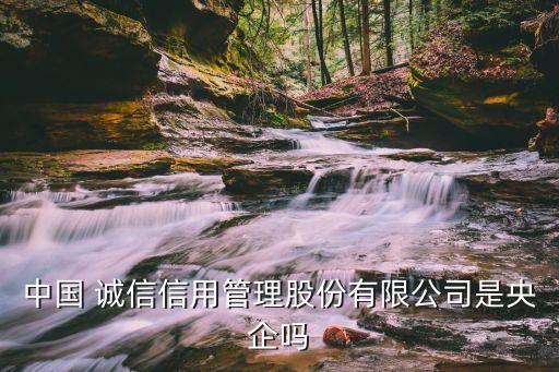 中誠信集團(tuán)董事長(zhǎng)