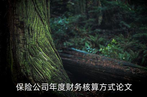 保險公司攤回分保費(fèi)用,什么是攤回分保費(fèi)用