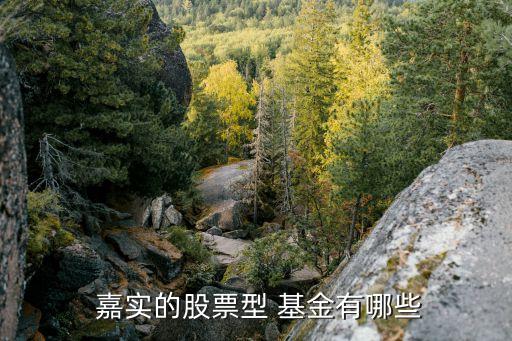 嘉實(shí)低碳環(huán)?；饍糁?嘉實(shí)環(huán)保低碳基金001616