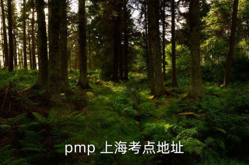 pmp 上?？键c(diǎn)地址