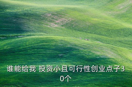 誰(shuí)能給我 投資小且可行性創(chuàng)業(yè)點(diǎn)子30個(gè)