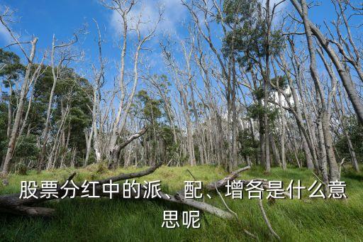  股票分紅中的派、配、增各是什么意思呢