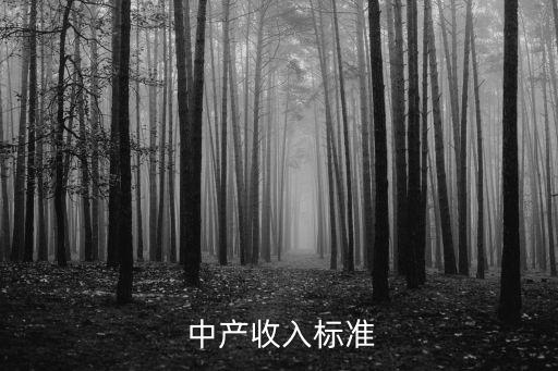  中產(chǎn)收入標準