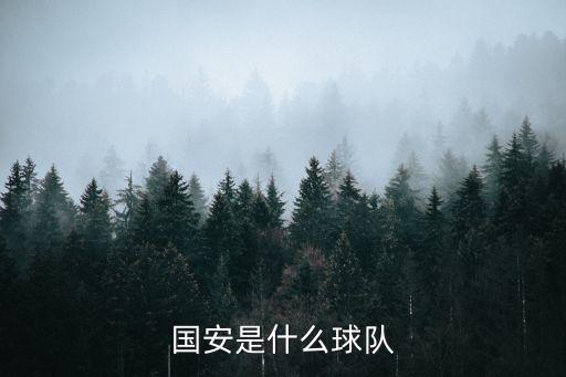 國安是什么球隊(duì)