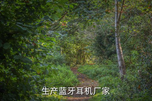 生產(chǎn)藍牙耳機廠家