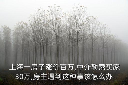  上海一房子漲價(jià)百萬(wàn),中介勒索買家30萬(wàn),房主遇到這種事該怎么辦