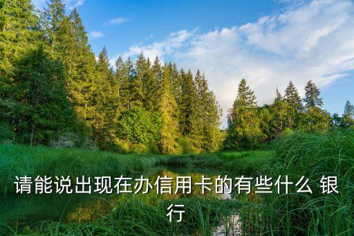 請(qǐng)能說出現(xiàn)在辦信用卡的有些什么 銀行