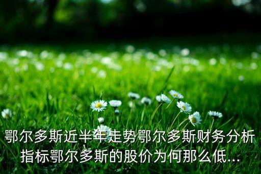 鄂爾多斯近半年走勢鄂爾多斯財務(wù)分析指標(biāo)鄂爾多斯的股價為何那么低...