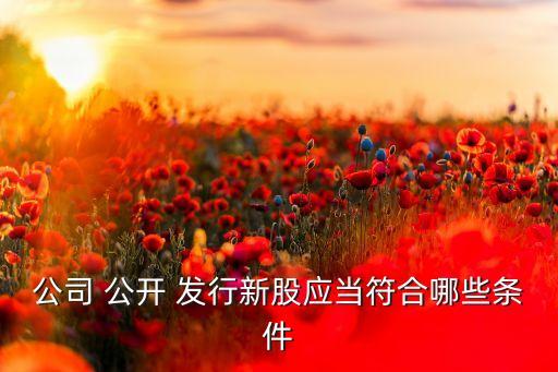 非公開發(fā)行股票認(rèn)購資金到位情況的驗資