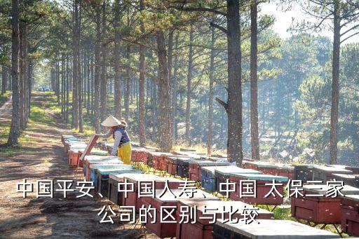 中國平安、中國人壽、中國 太保三家公司的區(qū)別與比較
