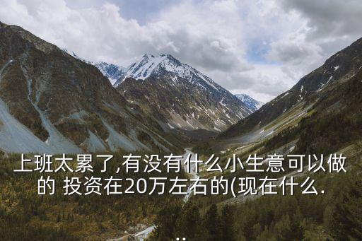 上班太累了,有沒(méi)有什么小生意可以做的 投資在20萬(wàn)左右的(現(xiàn)在什么...